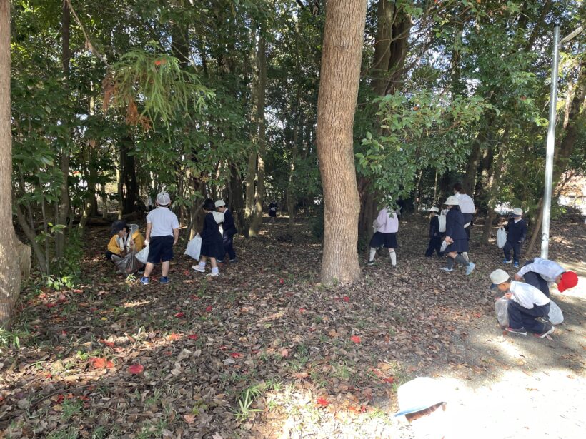 11/19　今日の田中小