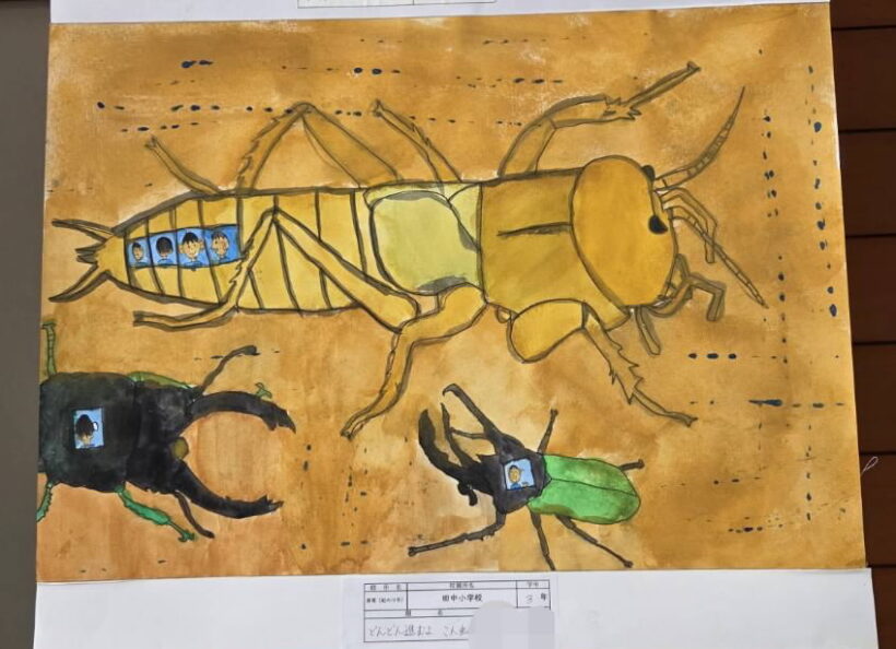 12/1 今日の田中小