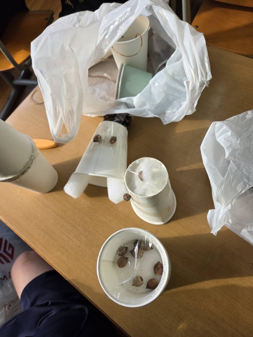 12/8　今日の田中小