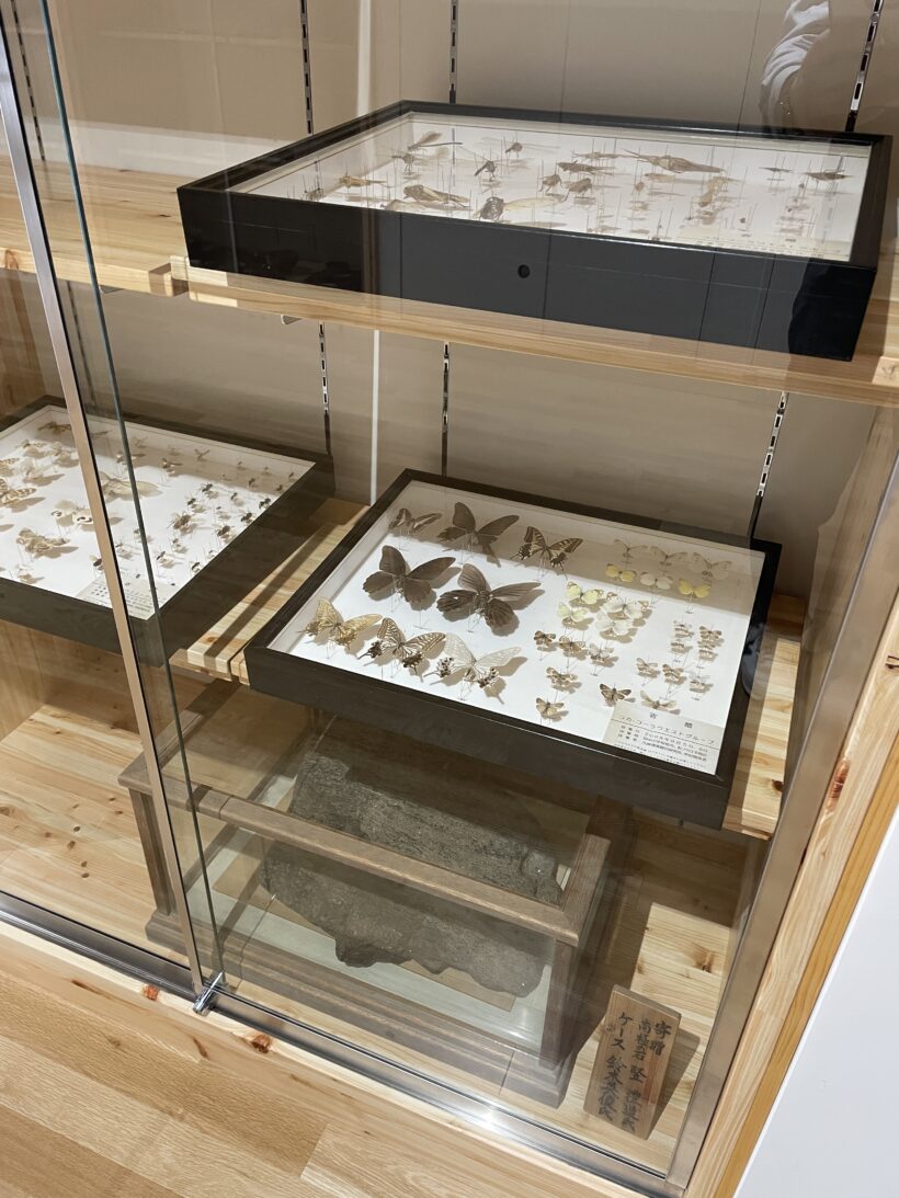 12/23　今日の田中小