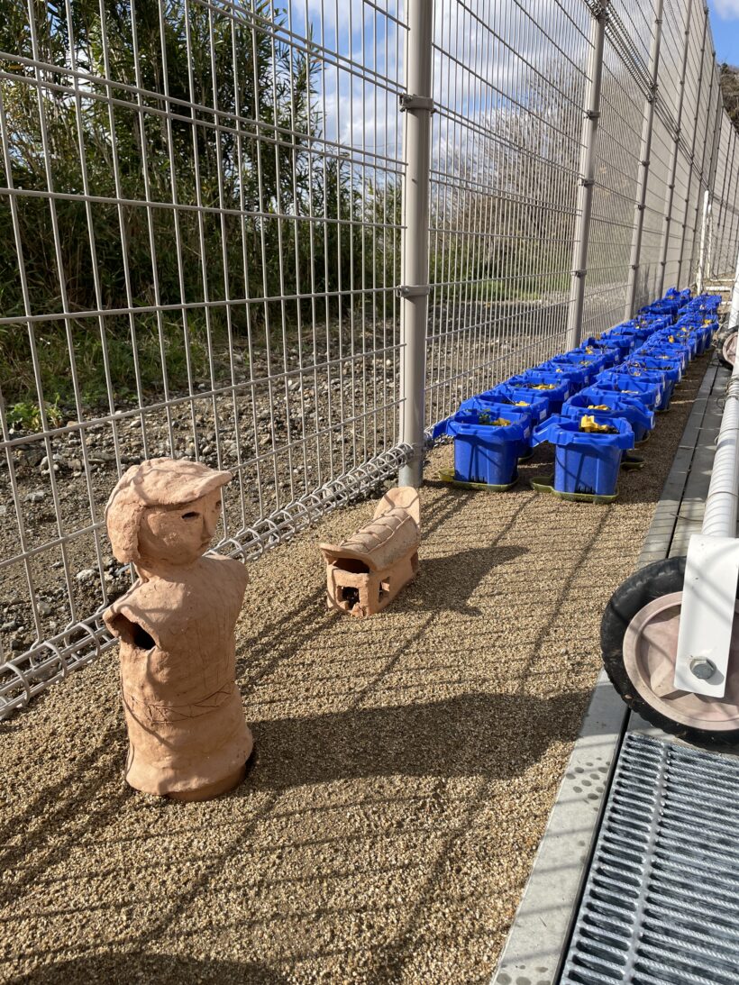 12/27　今日の田中小