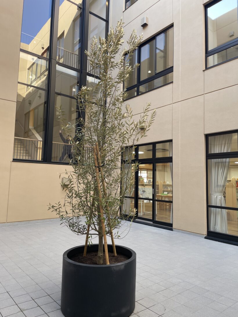 1/14 今日の田中小