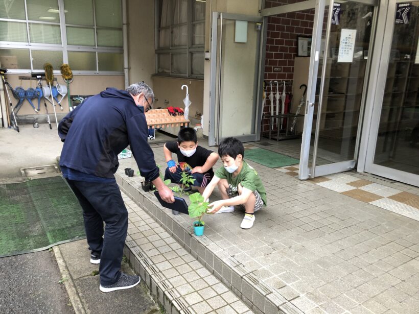 5月18日　植物の観察（小学校）