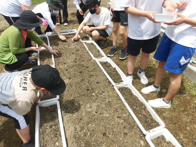 6月7日　ひまわりの絆プロジェクト（全校）