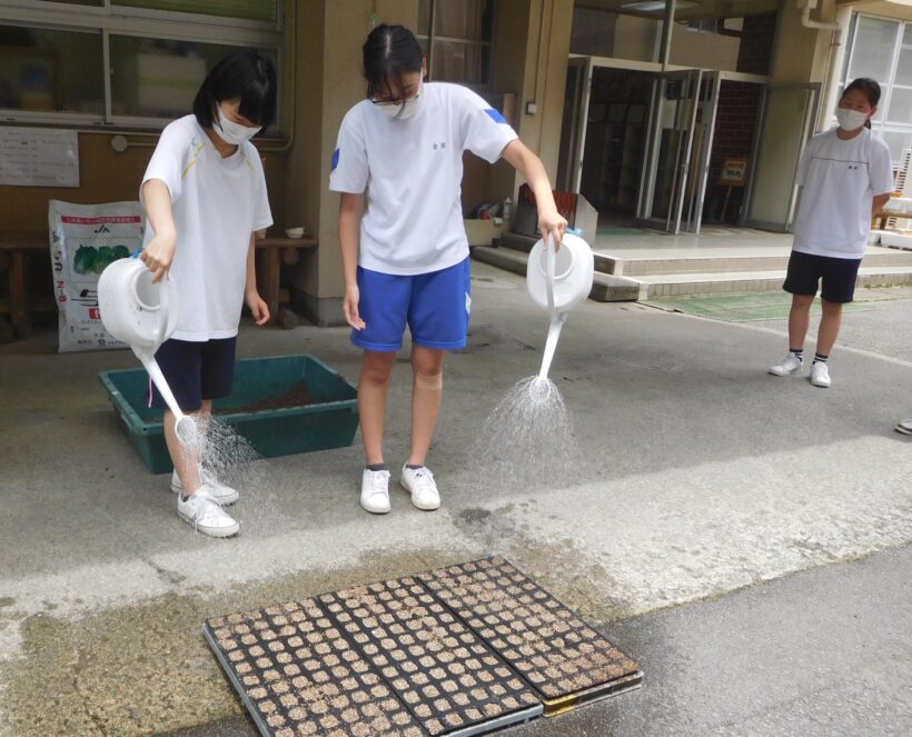 6月7日　黒豆の植え付け（中学校）