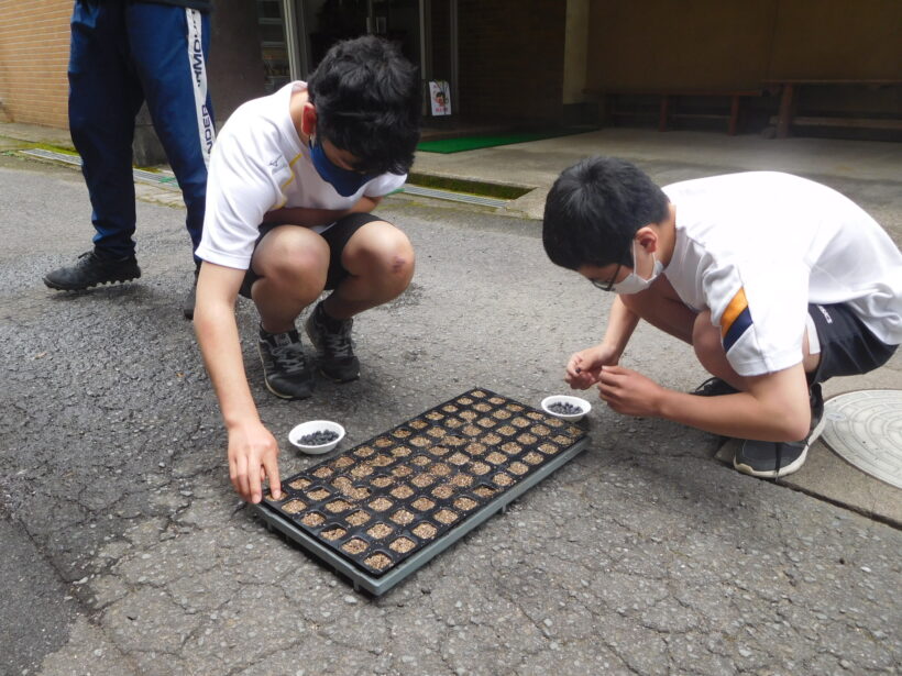 6月7日　黒豆の植え付け（中学校）