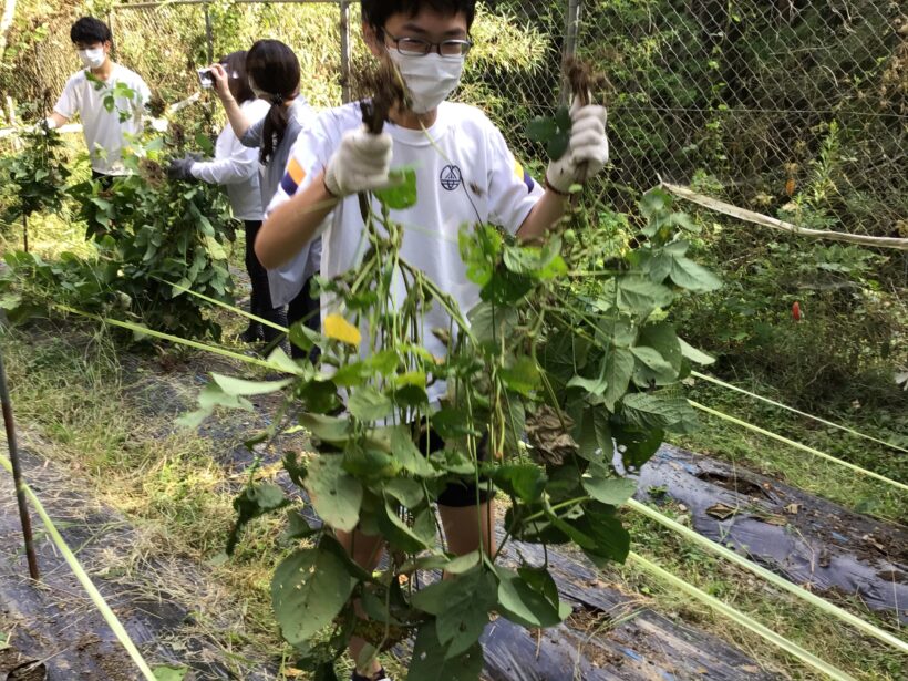 10月6日　実りの秋