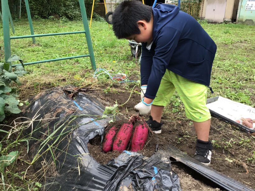 10月6日　実りの秋