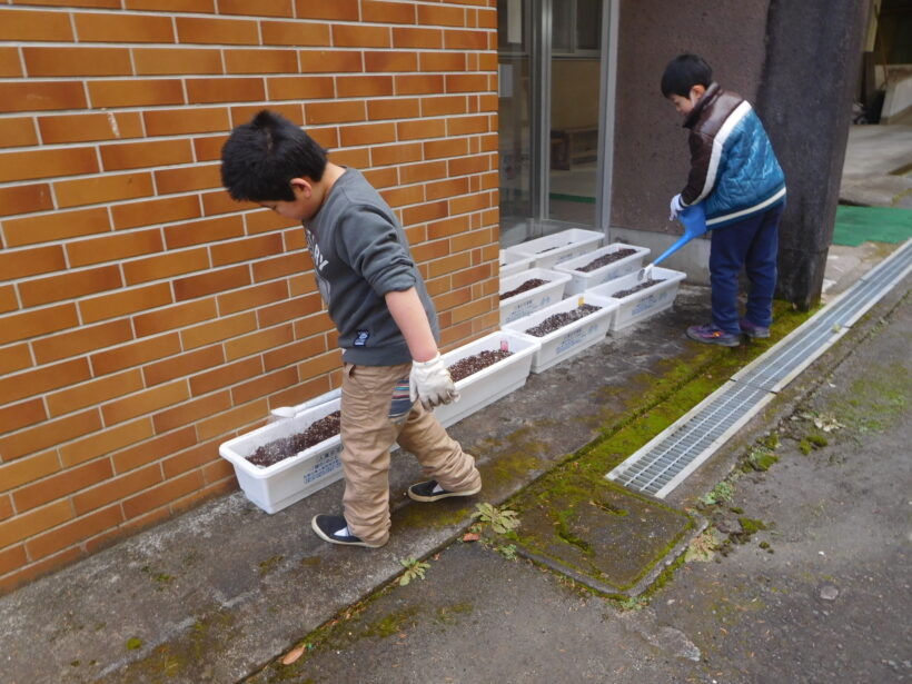 12月20日　チューリップの植付（小学校）