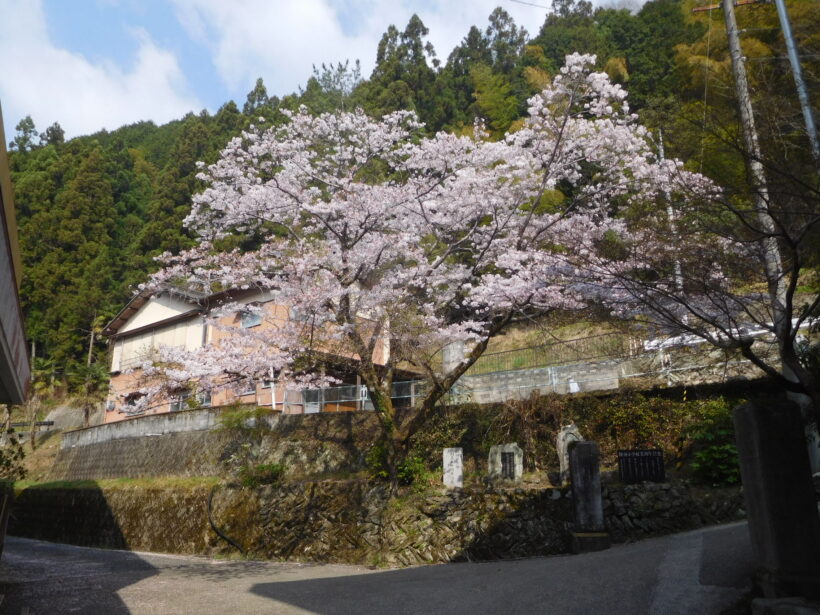 4月8日　1学期始業式