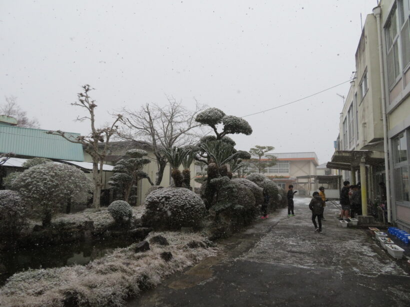 雪が降りました。