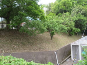 除草作業