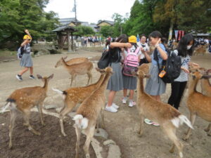 修学旅行１日目