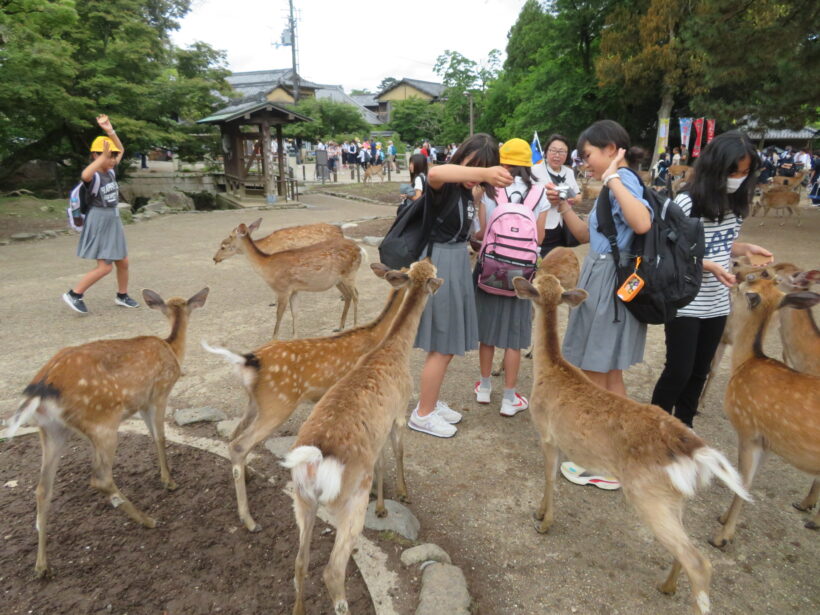 修学旅行１日目