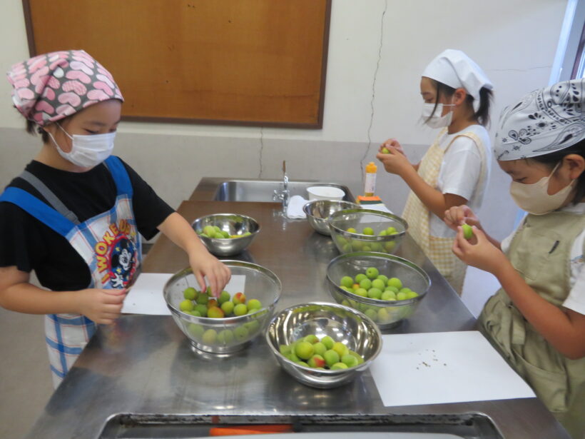 うめジュース作り①