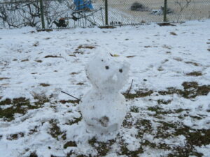 雪が降りました